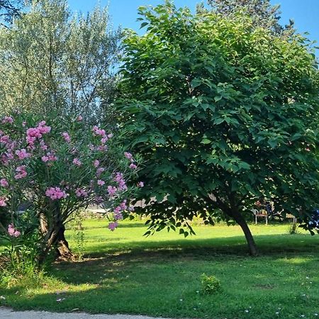 Chambre L'Orchidee Vallon-Pont-dʼArc Екстериор снимка